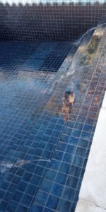 2496dd5c-d18d-409a-a4bc-2e6c4b6637da