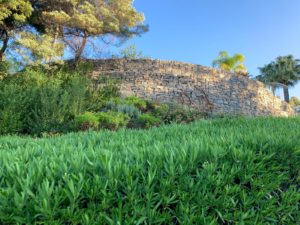 PHOTO-2020-05-13-10-28-21